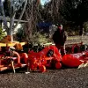 Larry Kalugin - KUHN VKD 155 shredder, and EL 82 power tiller
