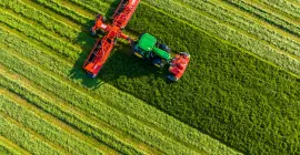 FC 13460 D RA_Action 07.jpg