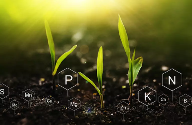 Plant nutrients - N, P and K