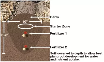 Berm Illustration.png