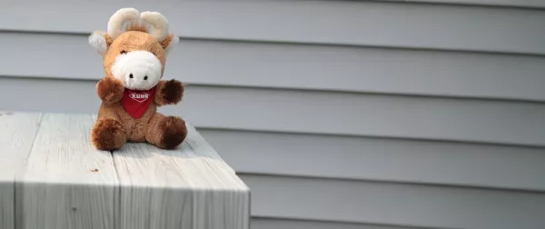 KUHN Gifts & Gear cow